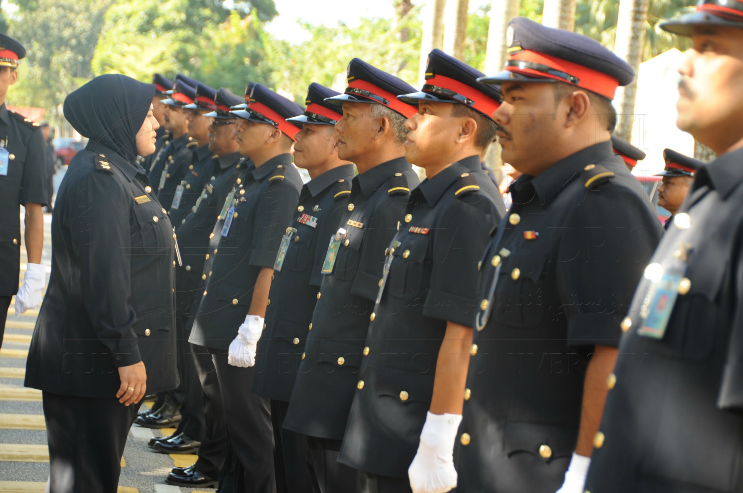 PRO 16 6 AMANAT VCHAS 8393